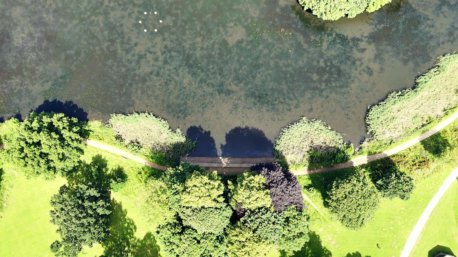 The lake and jetty below the clubhouse, seen from above